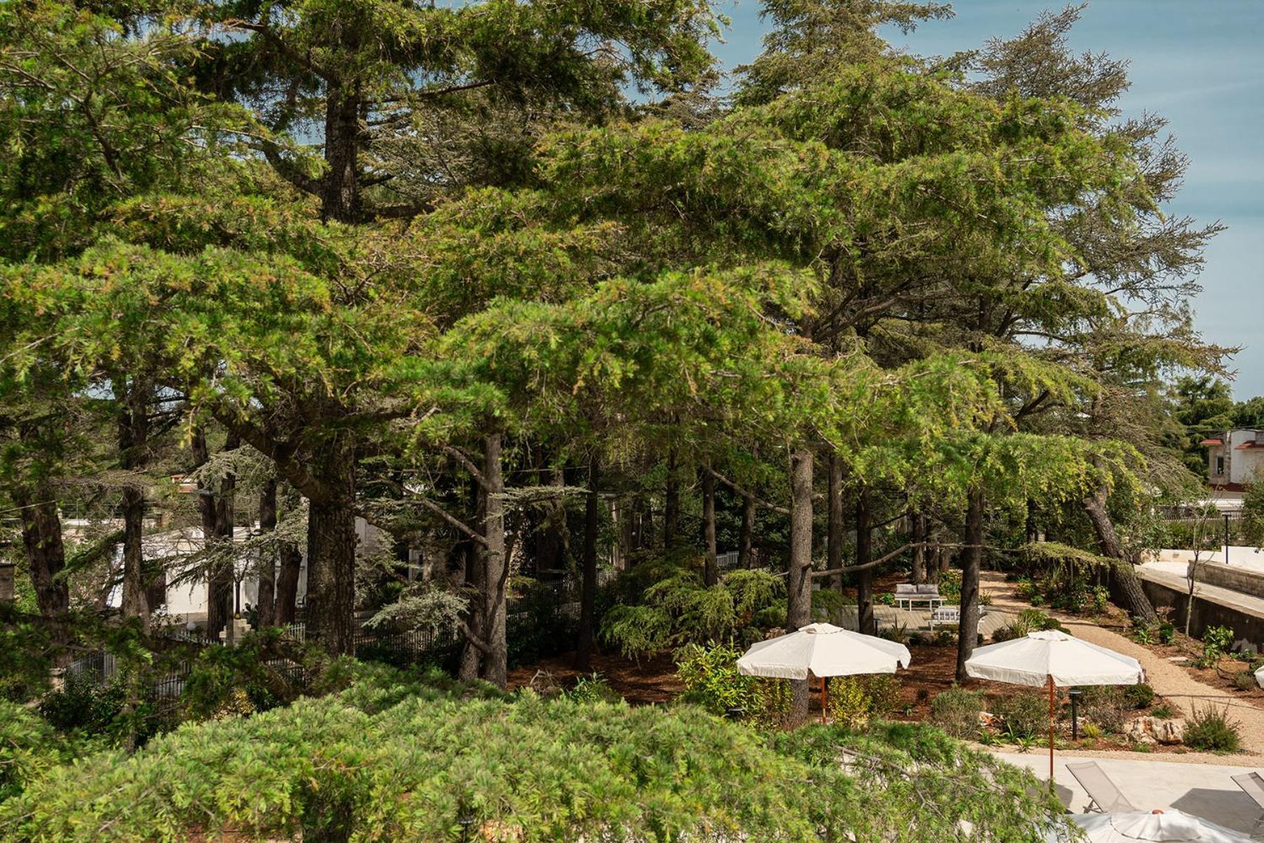 Borgo Lucia Holiday home Selva Di Fasano