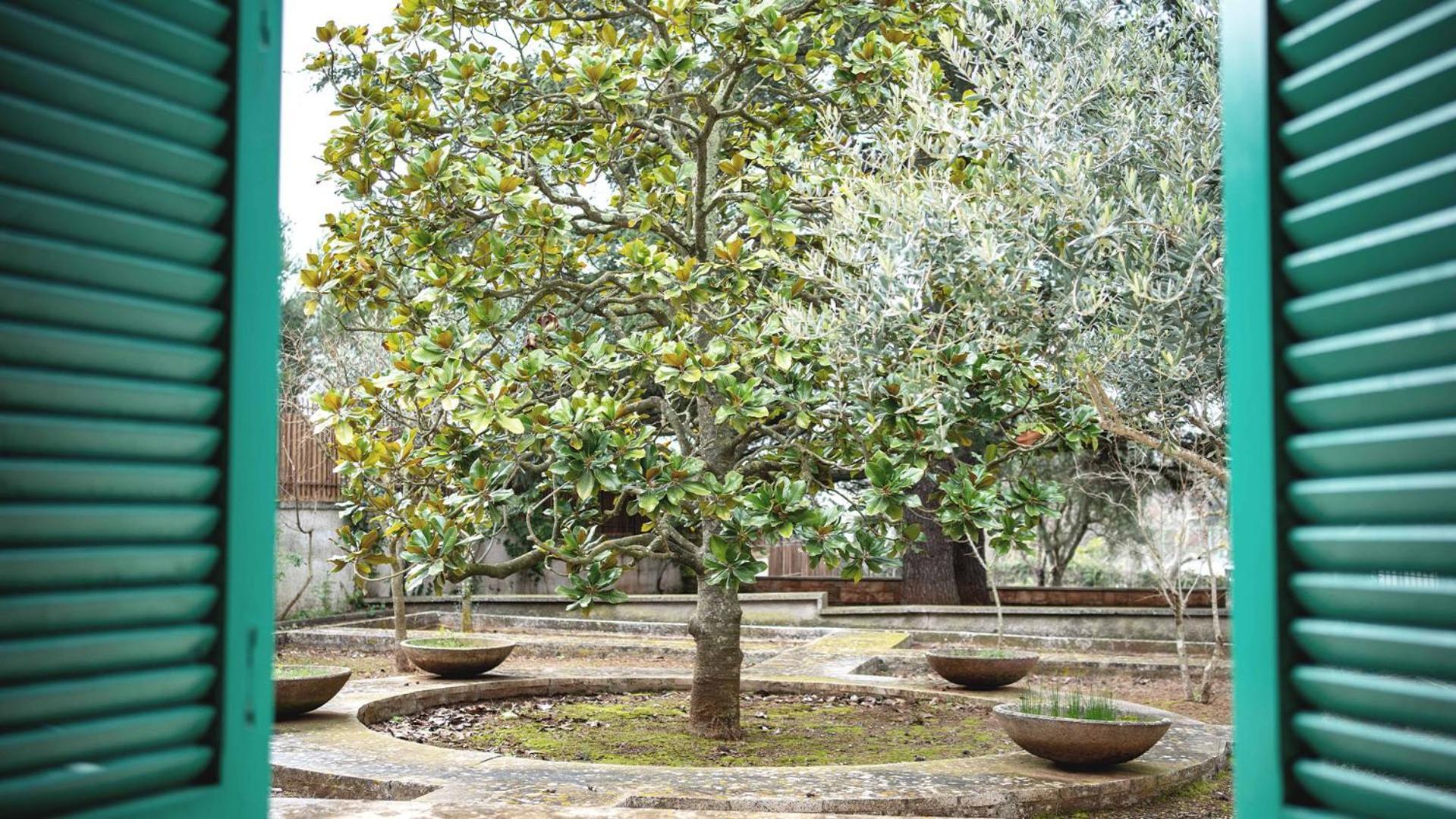 Borgo Lucia Selva Di Fasano